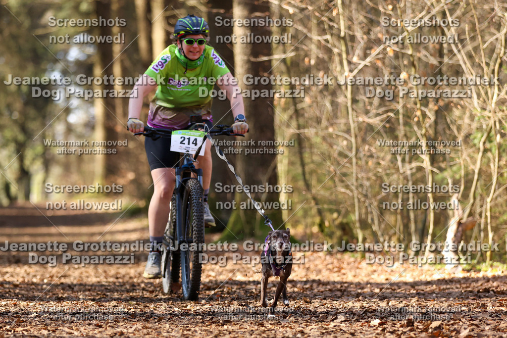 Dog Paparazzi - VCC26-1077 | Dog Paparazzi Jeanette Grottendiek Fotografie & Videografie - Realisiert mit Pictrs.com