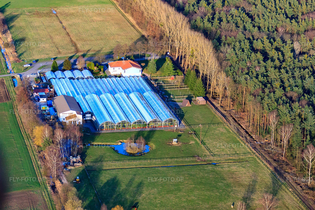 Luftbild: Kakteenland Steinfeld in Steinfeld im Bundesland Rheinland-Pfalz in Deutschland. Foto: IMG_38808.jpg vom 20.03.2011 durch Werner Riehm/FLY-FOTO.deKakteenland Steinfeld - In der sonnigen Pfalz, an der südlichen Weinstraße