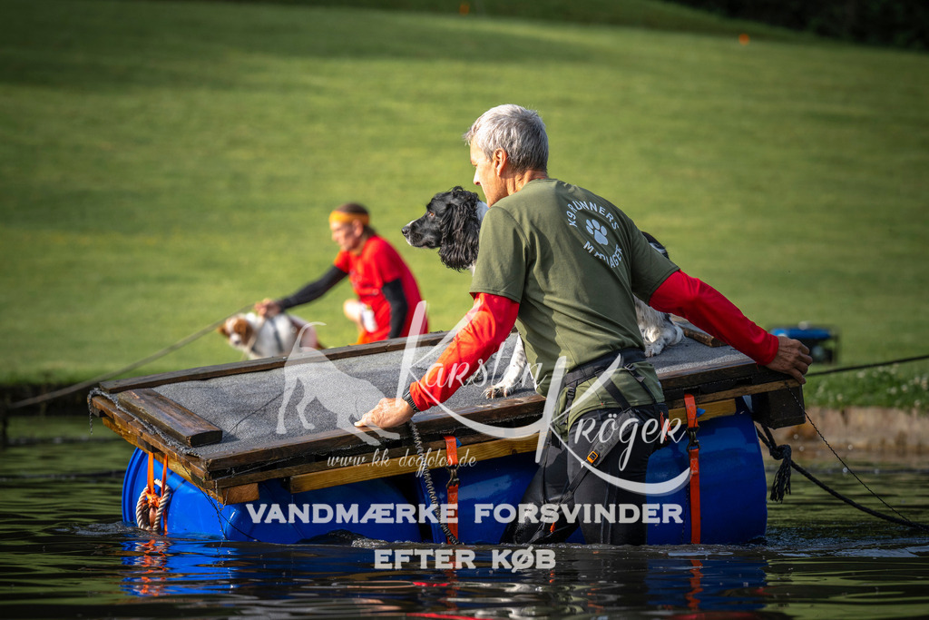 _ZZ938630709 | kk-dogfotos