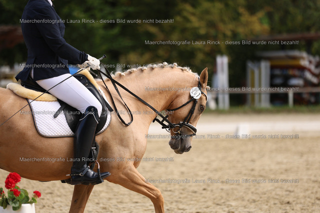 HG9A1488 | laurarinckfotografie - Realisiert mit Pictrs.com
