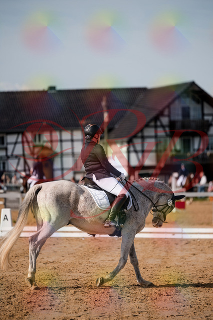 2026_10_03_Siefer-Hof_122916_Z63_50747330 | Professionelle Reitsport-, Turnier- und Eventfotografie von Robert Broda. Galerien mit ausgewählten und bearbeiteten Bildern direkt online ansehen und bestellen.