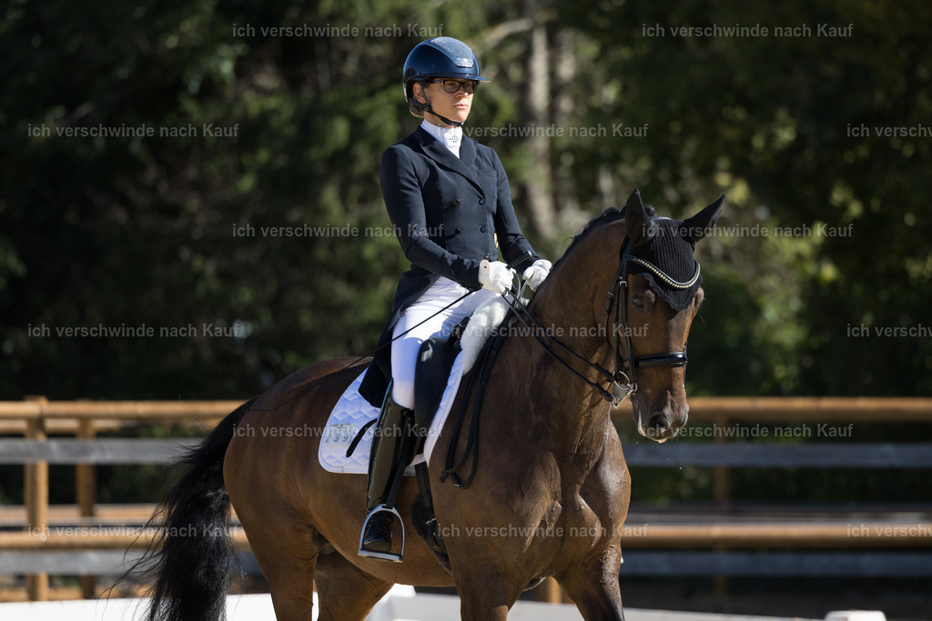 FHC2026_P07_239_17666 | working equitationturnier fotograf videograf stoibphotography marixx film working equitation deutschland reitsport turnierfotografie eventfotografie equestrian events