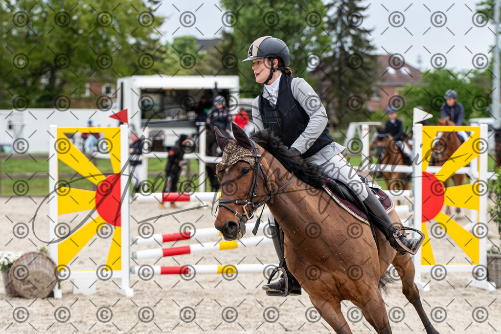 KPT_8337 | andre_photographic