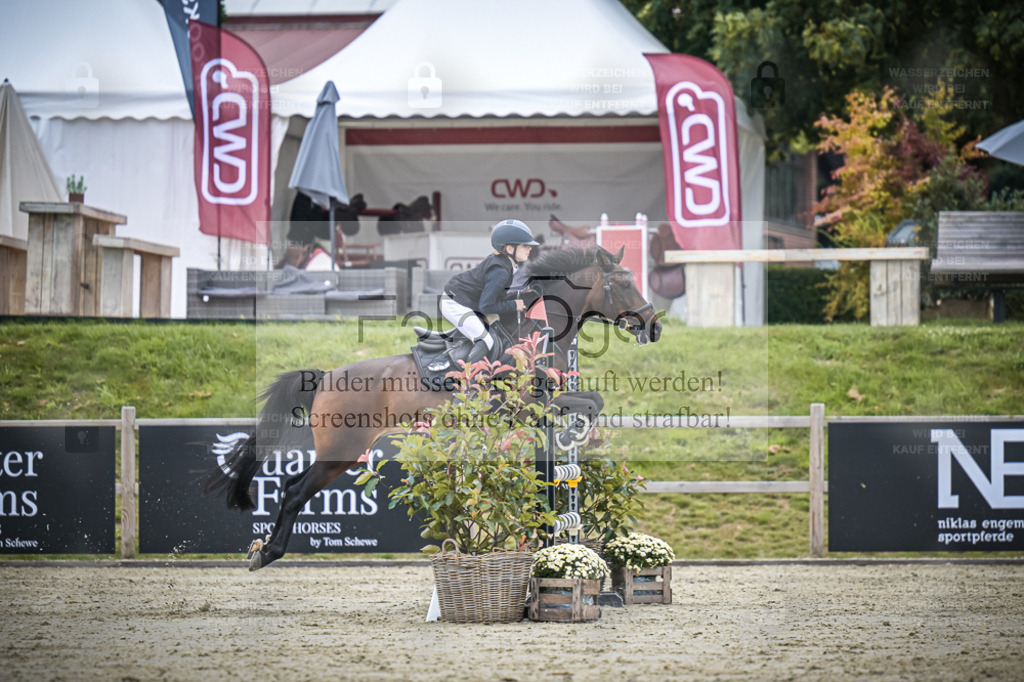 DOS_2061 | Entdecke hochwertige Reitturnierfotos von Foto Oger. Professionell, emotional und authentisch – jetzt Lieblingsmomente im Shop bestellen. - Realisiert mit Pictrs.com