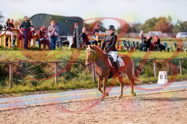 2026_10_03_Siefer-Hof_122308_Z81_23004441 | Professionelle Reitsport-, Turnier- und Eventfotografie von Robert Broda. Galerien mit ausgewählten und bearbeiteten Bildern direkt online ansehen und bestellen.