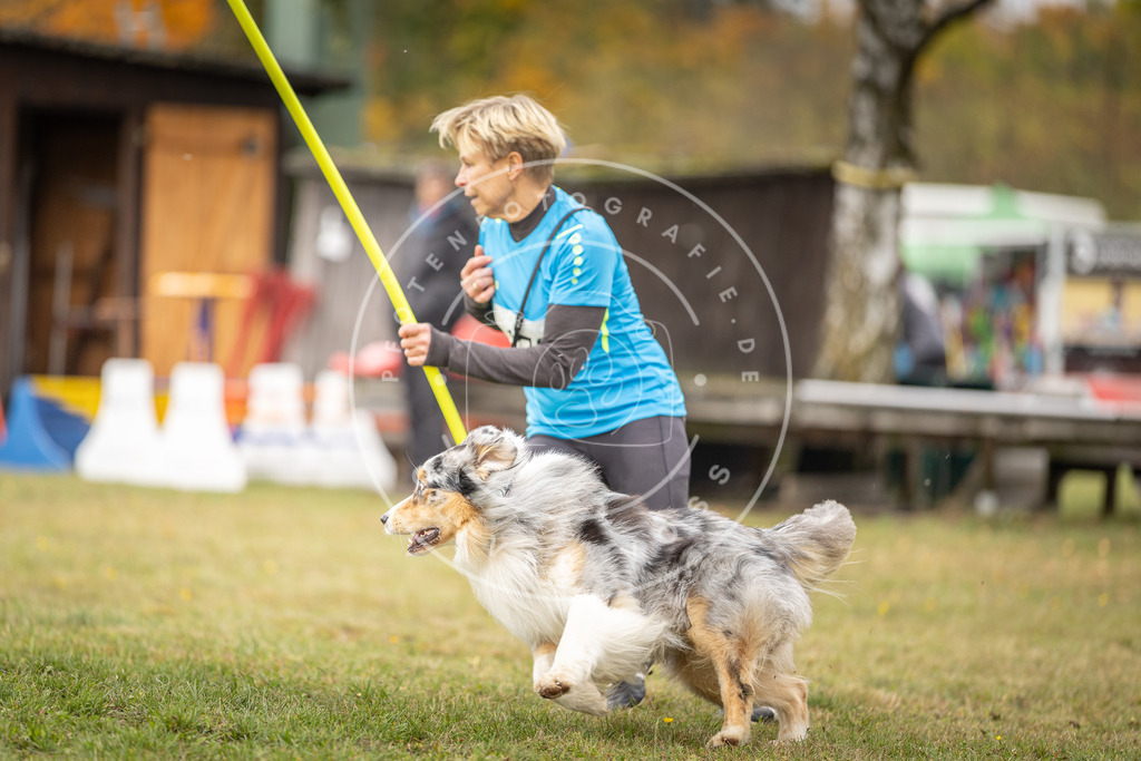 Pfotenfotografie_DV3A5445 | Hundefotografie, Tierfotograf, Pfotenfotografie, Fotoshooting Hund, Hunde Portrait, Hundesport, Hundeportraits, Heideshooting, Hunde, Sportfotograf, Hundefotograf, Turnierhundsport, THS,  - Realisiert mit Pictrs.com