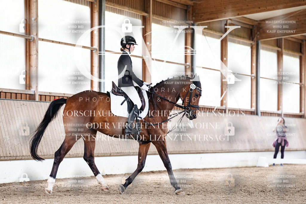 CK900744 | Turnierfotografie Pferdefotografie Trier Rheinland-Pfalz Pferdesport Reitsport Tierfotografie Sportfotografie Pferdevideo Pferdevideografie Equestrianvideography equestrianphotography  - Realisiert mit Pictrs.com