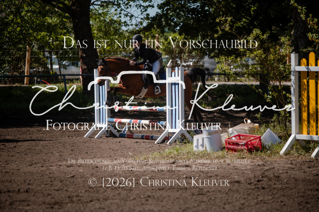 DSC_6811 | Christina-Kleuver