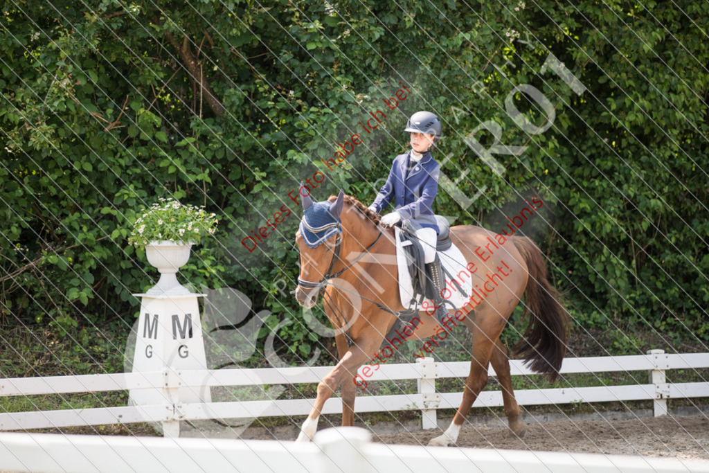 IMG_3965 | Sport-, Event- und Tierfotos in Profiqualität. Einfach auswählen, bestellen und herunterladen. Dein Moment – perfekt festgehalten.