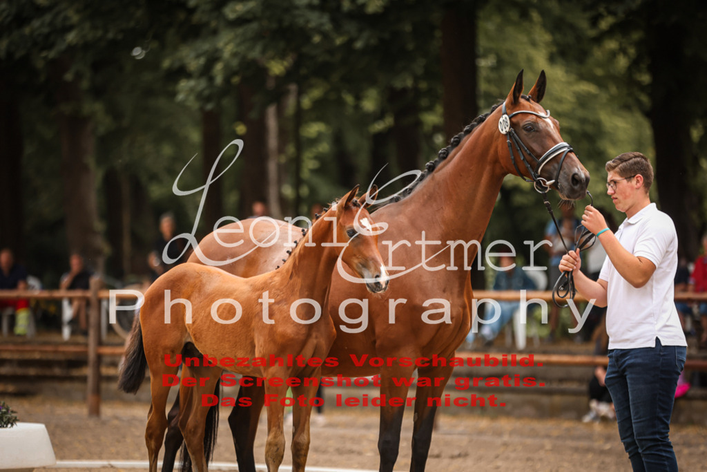 SaFohlen00069 | Leoni Ertmer Photography - Realisiert mit Pictrs.com