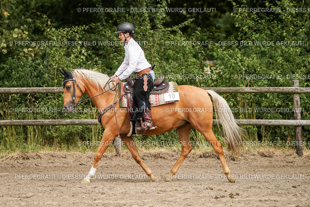 DSC00224 | Pferdegrafie