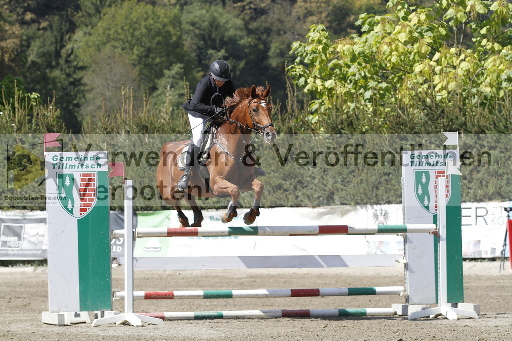 _MG_6369 | equestrian-live-com