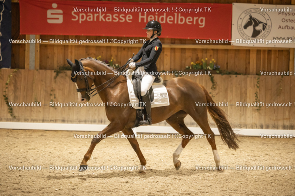 _D5A3995 | Emotionale Pferde- & People-Fotografie rund um Heidelberg, Leimen & Umgebung. Natürliche Fotos von Pferd, Mensch & Familie. Jetzt Termin sichern!