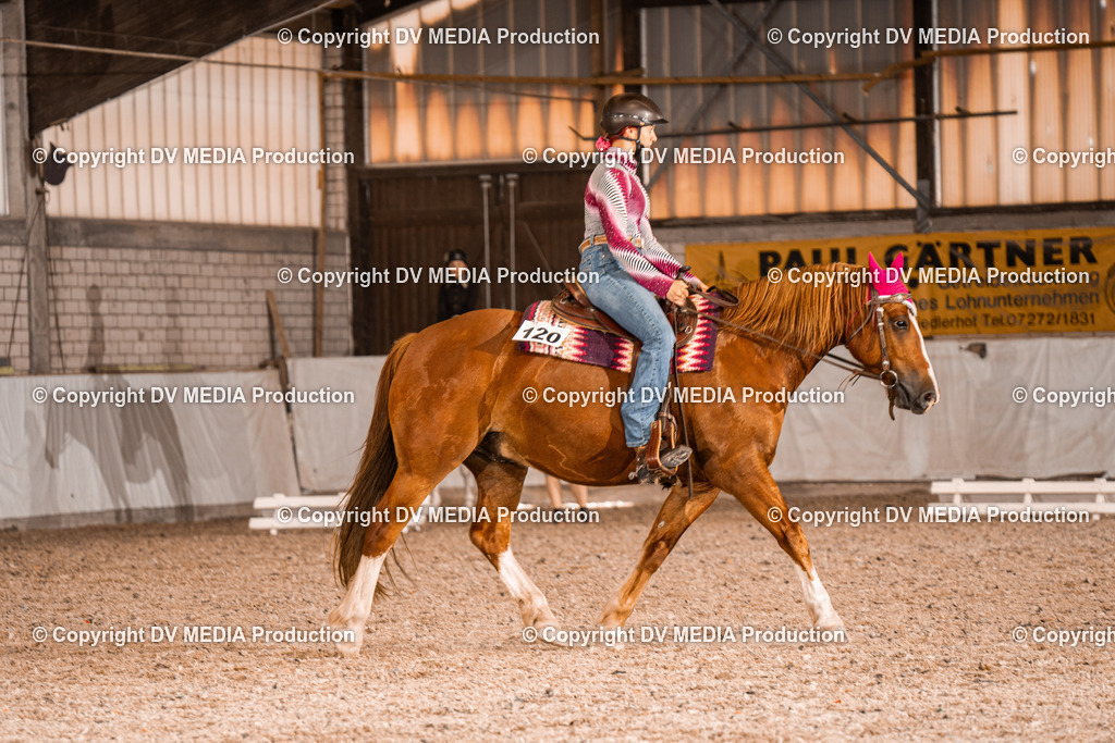 ZH100654 | dv-media-shop - Realisiert mit Pictrs.com