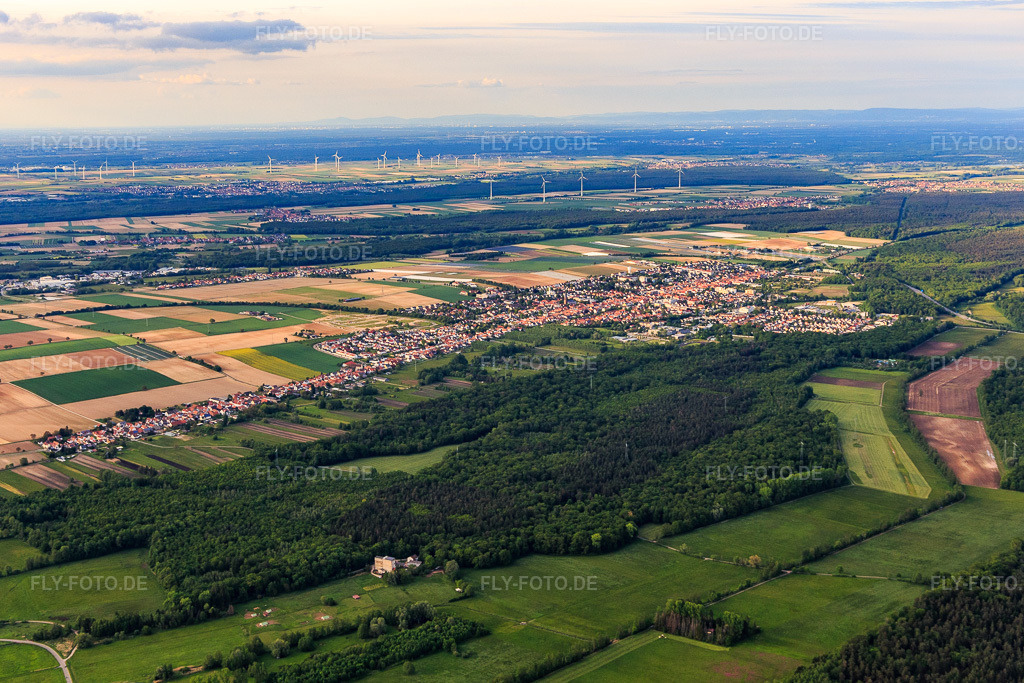 Luftbild: Stadtansicht am Rande des Bienwalds aus Südwesten in Kandel im Bundesland Rheinland-Pfalz in Deutschland. Foto: IMG_126914.jpg vom 28.05.2021 durch Werner Riehm/FLY-FOTO.de