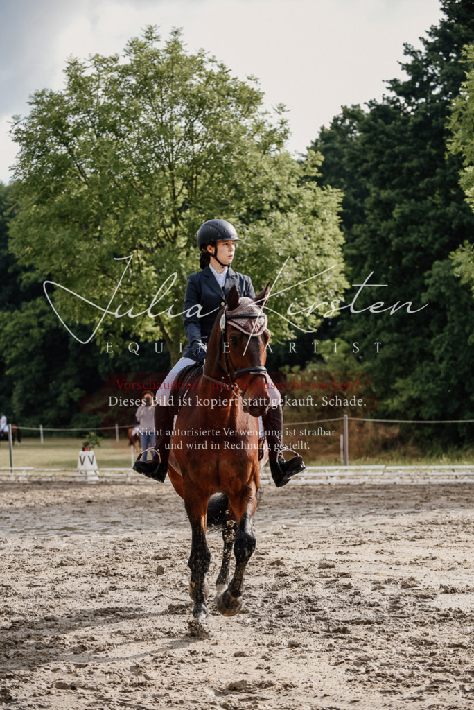 DSC_8616 | Pferde- und Turnierfotografie in Westsachsen. Pferdeportraits, Auftragszeichnungen und intuitive Kunst.