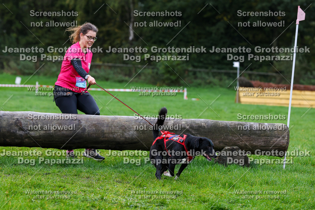 Dog Paparazzi -  SD1026-1286 | Dog Paparazzi Jeanette Grottendiek Fotografie & Videografie - Realisiert mit Pictrs.com