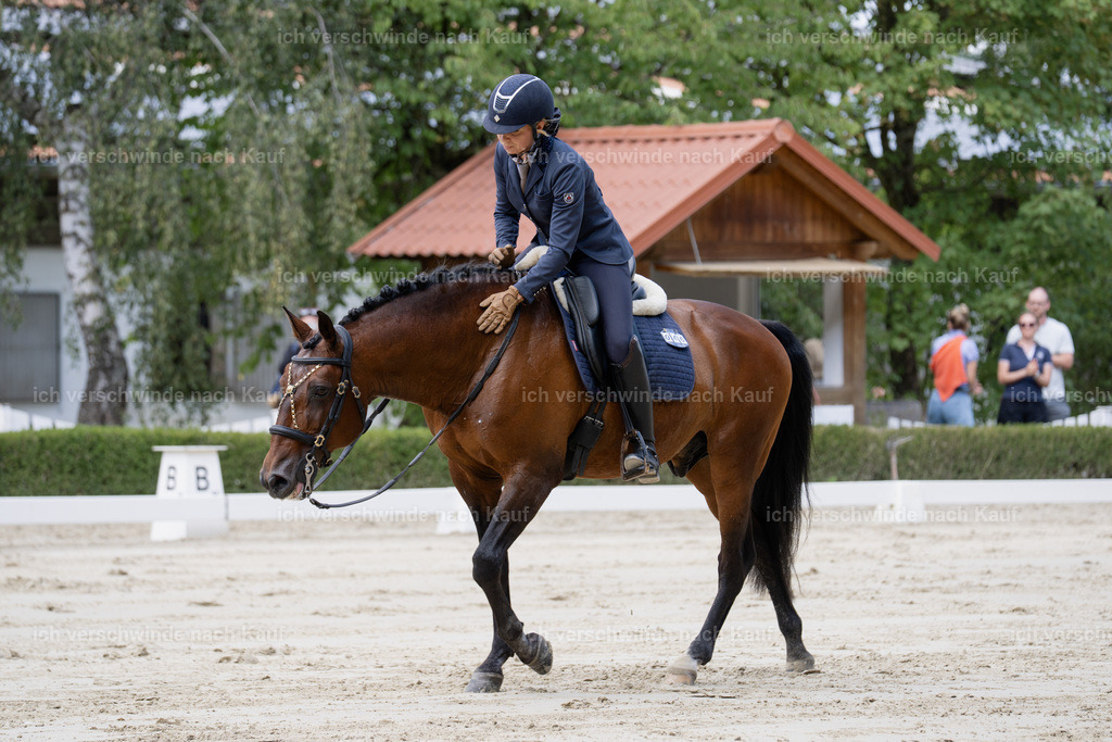 WS_DR_46_sinafilmart_IN02385 | working equitationturnier fotograf videograf stoibphotography marixx film working equitation deutschland reitsport turnierfotografie eventfotografie equestrian events