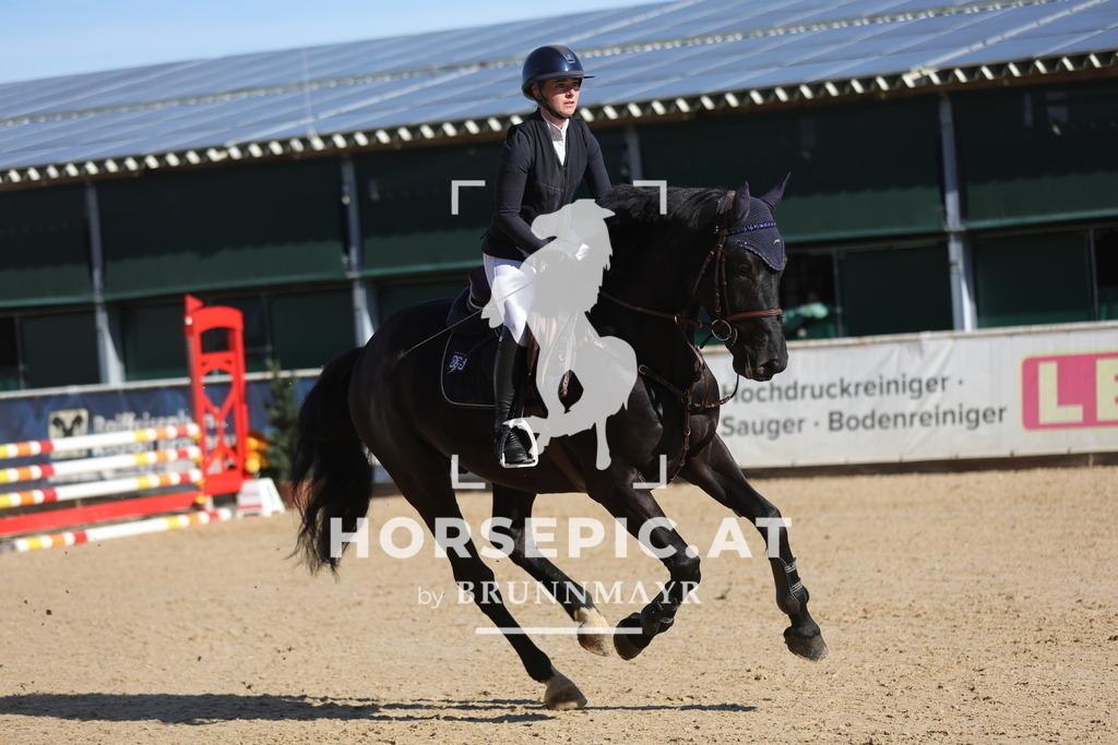 0P6A6751 | Willkommen bei Brunnmayr - Design & Fotografie – Ihrem Spezialisten für Reitturniere und Pferdeveranstaltungen in Oberösterreich, Salzburg und Bayern! Seit über 17 Jahren sind wir leidenschaftlich dabei.