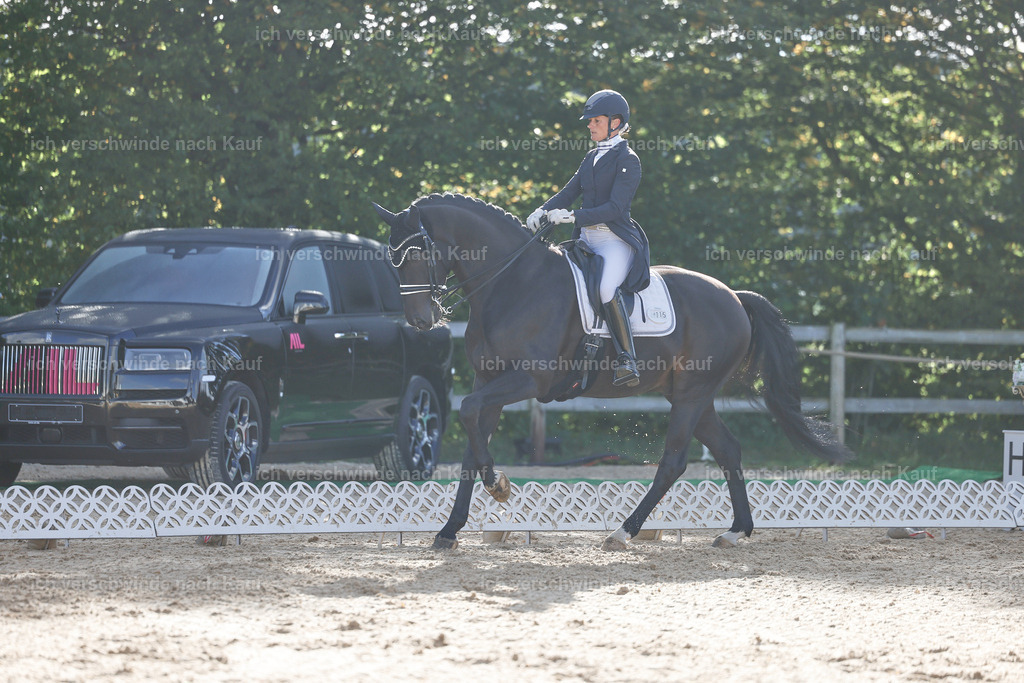 09_1-115-DRESSUR  S_  -StoibPH-5589 | working equitationturnier fotograf videograf stoibphotography marixx film working equitation deutschland reitsport turnierfotografie eventfotografie equestrian events
