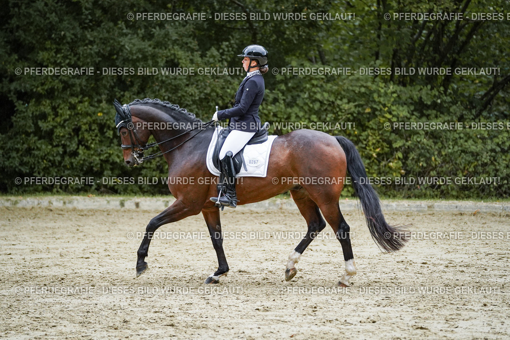 DSC00185 | Pferdegrafie