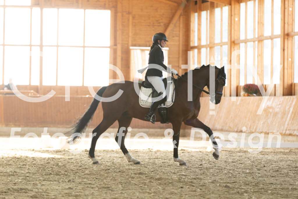 IMG_3893 | Creatify Fotografie