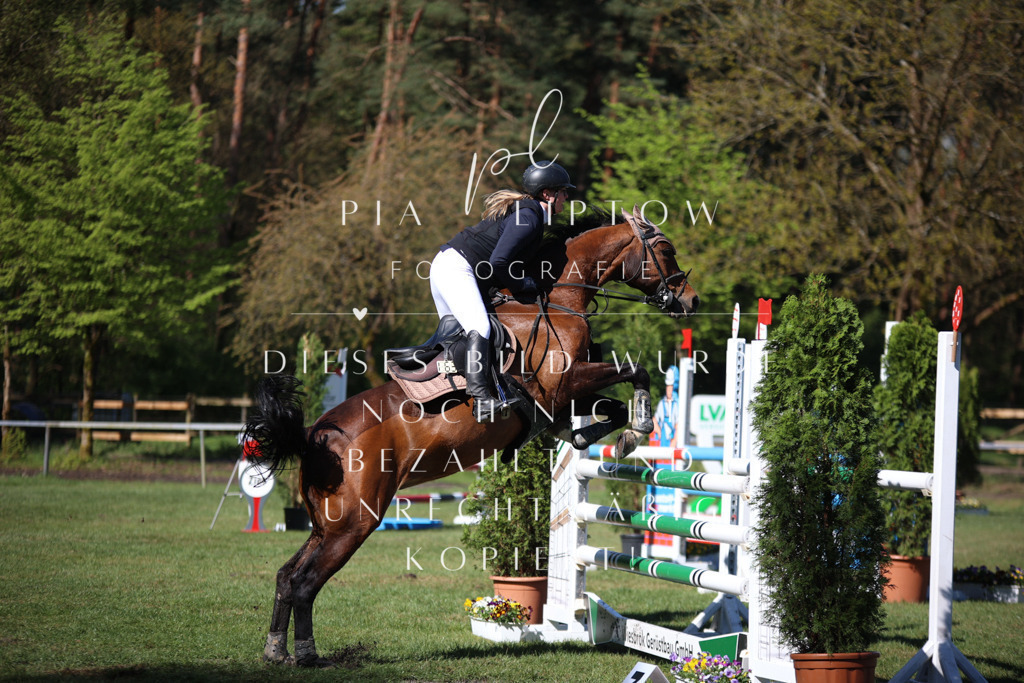 IMGT0507 | pl-fotografie