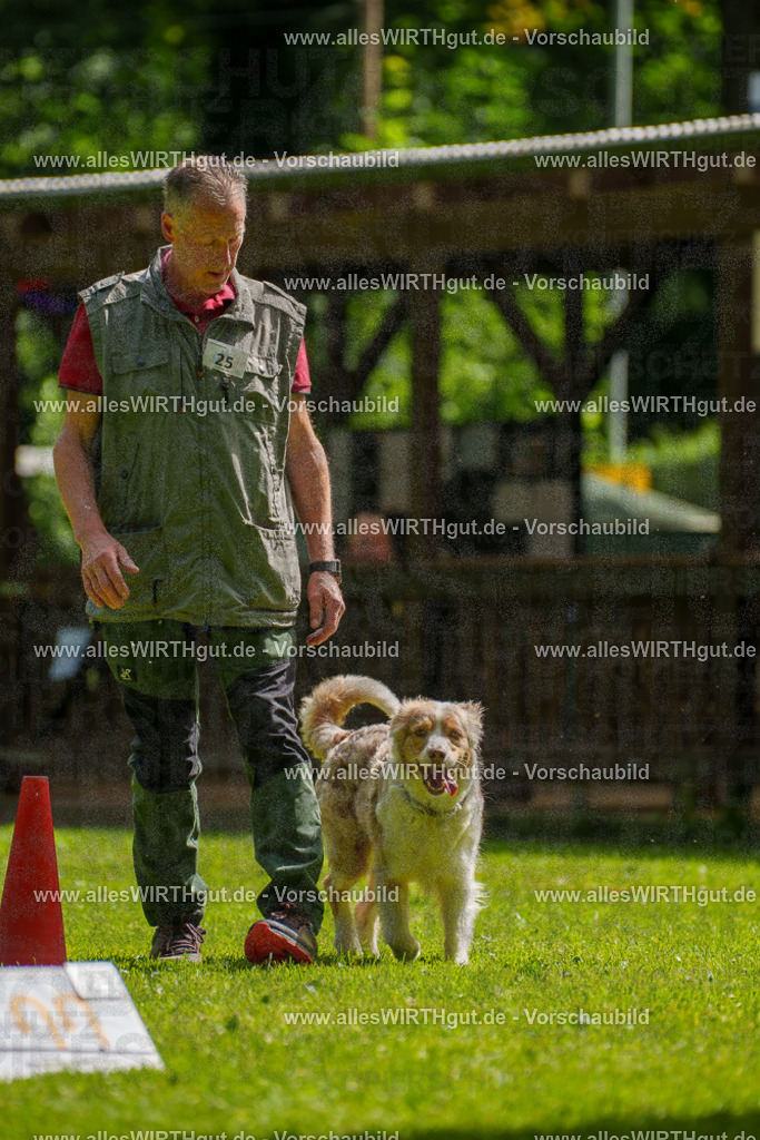 @allesWIRTHgut_Tierfotografie - www.allesWIRTHgut.de - 100054-7R507946 | Professionelle Tierfotografie in Mönchengladbach von Daniel Wirth (allesWIRTHgut). Liebevolle & natürliche Bilder von Hunden & Katzen für unvergessliche Erinnerungen.