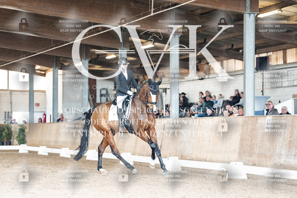 CK901794 | Turnierfotografie Pferdefotografie Trier Rheinland-Pfalz Pferdesport Reitsport Tierfotografie Sportfotografie Pferdevideo Pferdevideografie Equestrianvideography equestrianphotography  - Realisiert mit Pictrs.com