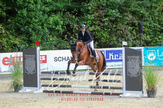 DKP40295 | Turniersportfotografie; Pferdefotografie; Dressurfotografie