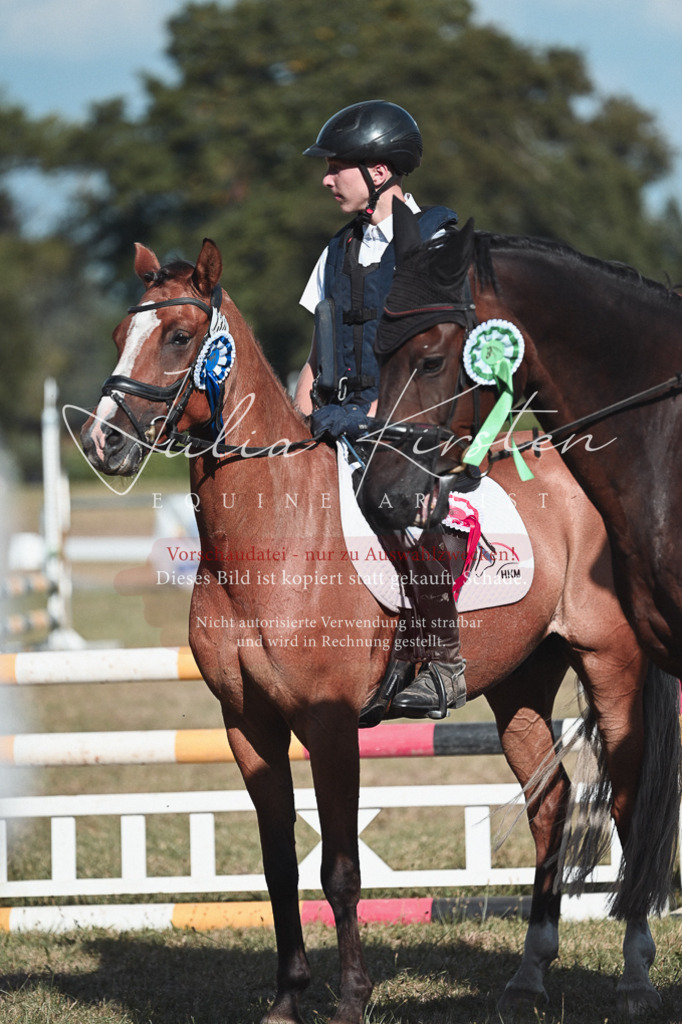 DSC_8860 | Pferde- und Turnierfotografie in Westsachsen. Pferdeportraits, Auftragszeichnungen und intuitive Kunst.