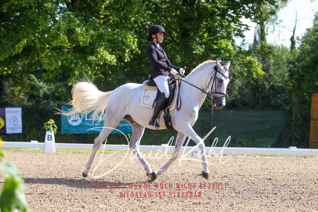 DKP42868 | Turnierfotos kaufen im Webshop von Daniel Kuhl Photography – entdecke professionelle Reitsportfotos aus Turnieren & Events. Hochwertige Turnierbilder online bestellen & sichern. Jetzt Fotos von Reitsportturnieren kaufen!