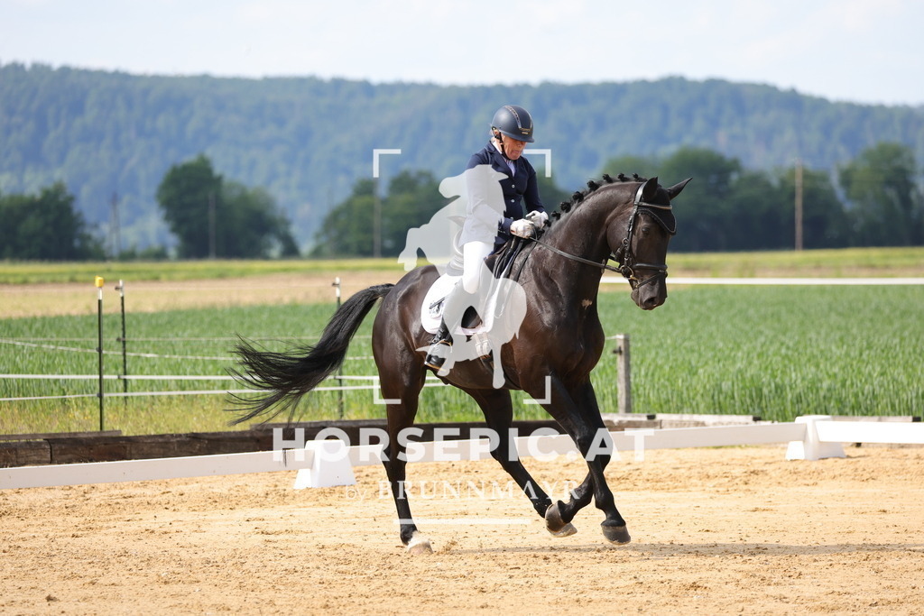 0P6A9094 | Willkommen bei Brunnmayr - Design & Fotografie – Ihrem Spezialisten für Reitturniere und Pferdeveranstaltungen in Oberösterreich, Salzburg und Bayern! Seit über 17 Jahren sind wir leidenschaftlich dabei.