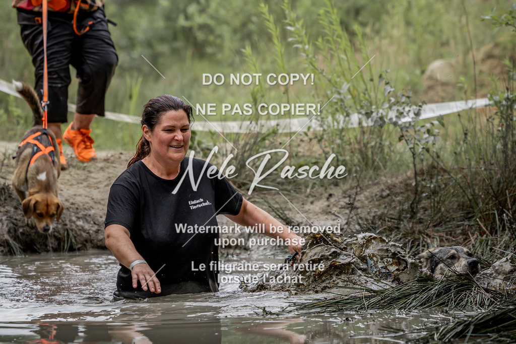 nelerasche_so0930-1000_393 | nelerasche