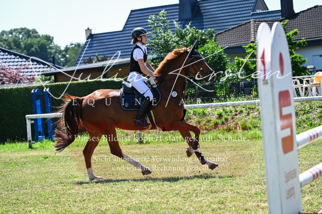 DSC_1167 | Pferde- und Turnierfotografie in Westsachsen. Pferdeportraits, Auftragszeichnungen und intuitive Kunst.