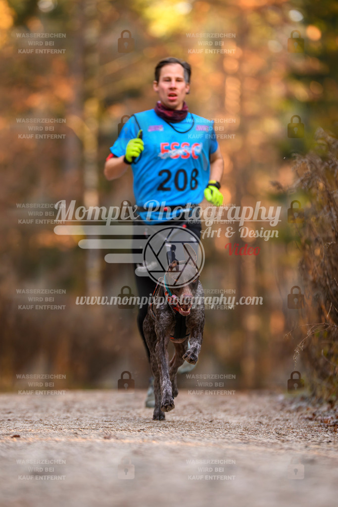 MompixPhotography_DM_AKDM_SO_2025_-3 | PayLife