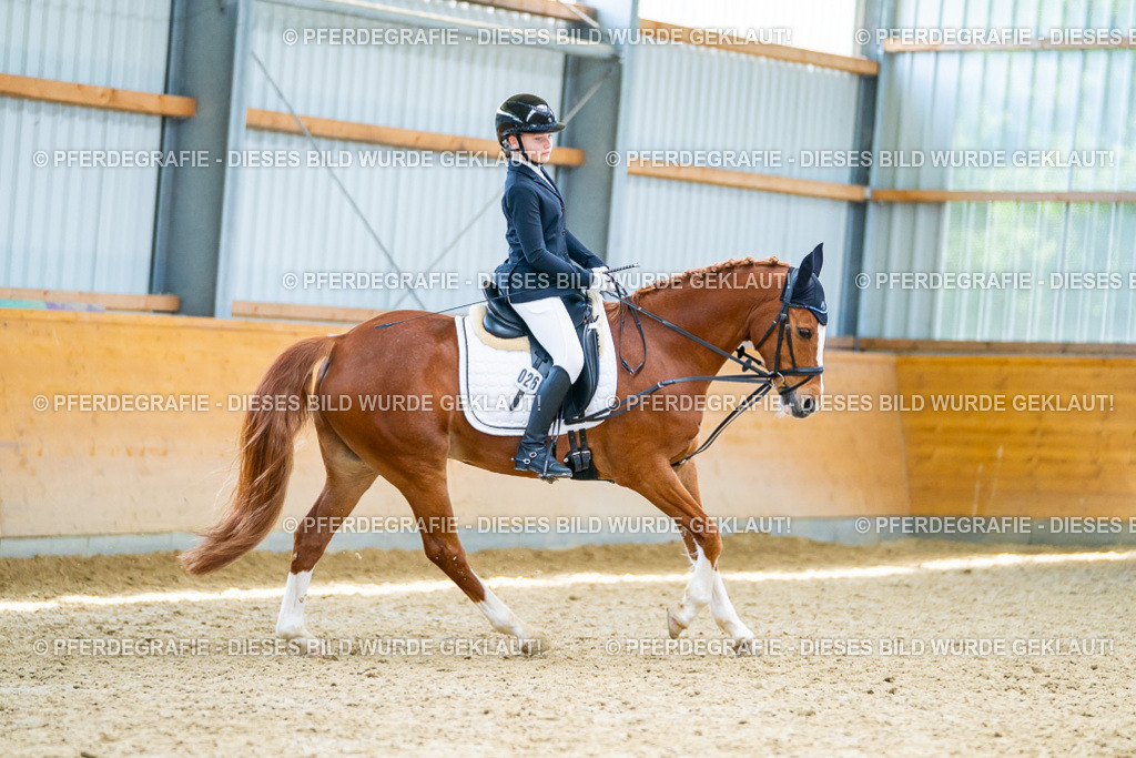 DSC09613 | Pferdegrafie