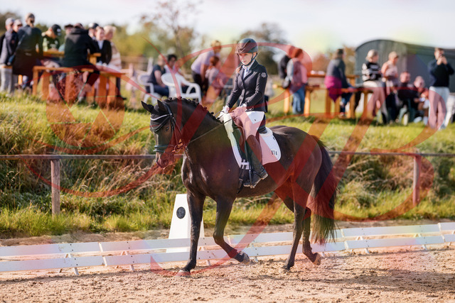 2026_10_03_Siefer-Hof_121334_Z81_13843525 | Professionelle Reitsport-, Turnier- und Eventfotografie von Robert Broda. Galerien mit ausgewählten und bearbeiteten Bildern direkt online ansehen und bestellen.