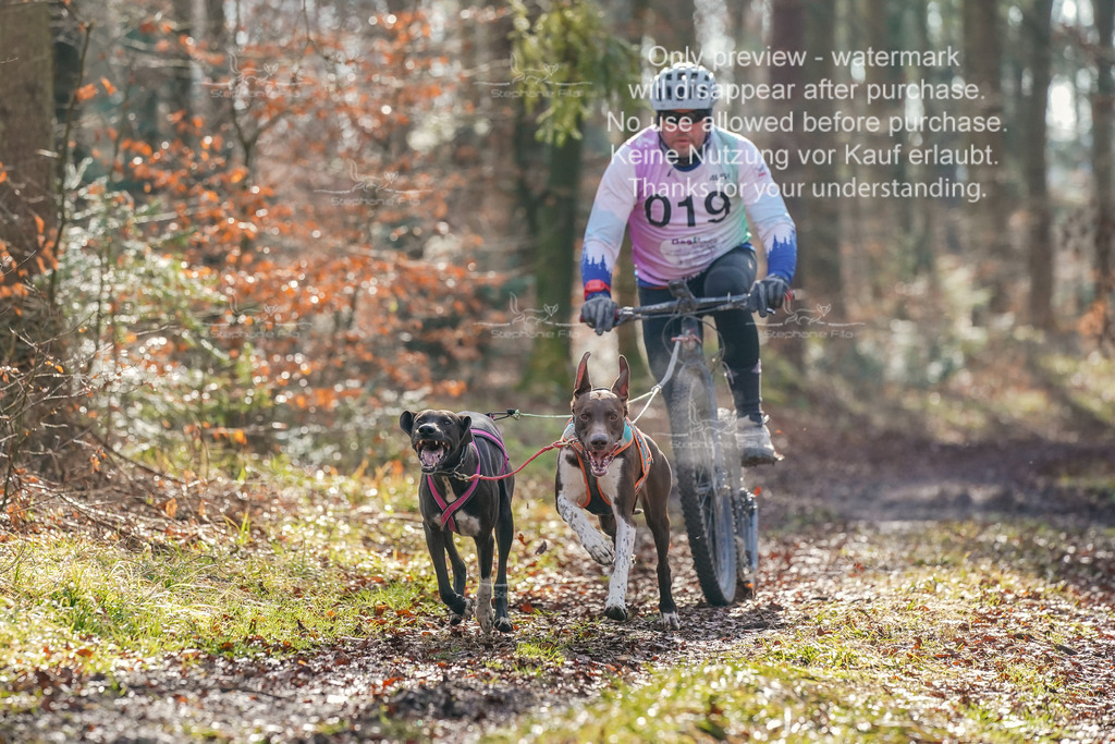 So_Scooter_2-3 | stephaniefillaphotographie - Realisiert mit Pictrs.com