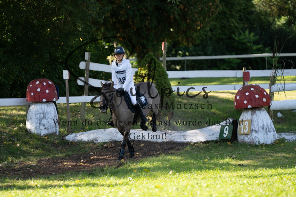 A7V03396 | Pferdefotograf