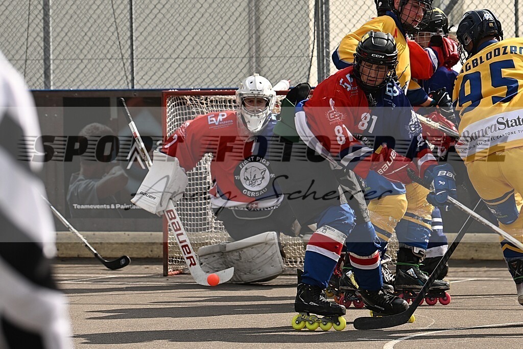 aaaDSC_2540 | Kaufen Sie Sportbilder im Onlineshop von Andy Scherrer Sportfotografie. Faszinierende Bilder von Sportevents aus der ganzen Schweiz. Fussball, Frauenfussball, Unihockey, Handball, Schwingen und weiteren Sportarten. - Realisiert mit Pictrs.com
