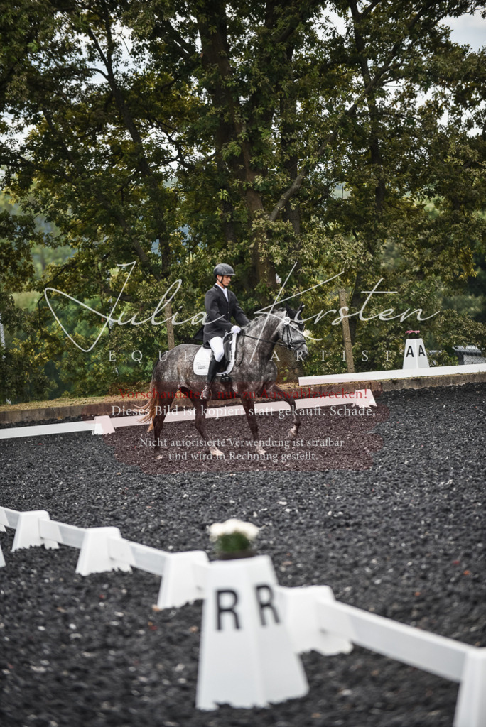 DSC_4622 | Pferde- und Turnierfotografie in Westsachsen. Pferdeportraits, Auftragszeichnungen und intuitive Kunst.
