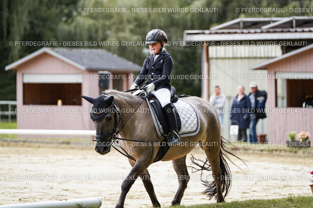 DSC05294 | Pferdegrafie