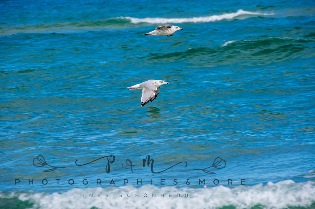 _Grenen22-1796 | Photographies and more - Realisiert mit Pictrs.com