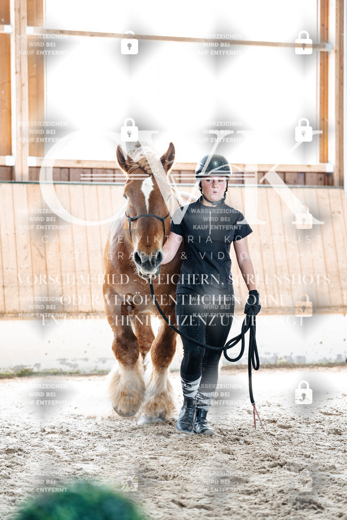 CK907257 | Turnierfotografie Pferdefotografie Trier Rheinland-Pfalz Pferdesport Reitsport Tierfotografie Sportfotografie Pferdevideo Pferdevideografie Equestrianvideography equestrianphotography  - Realisiert mit Pictrs.com