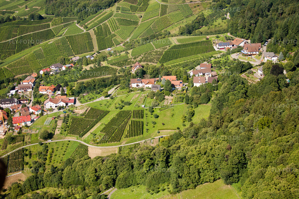 Luftbild: Bergfriedenweg im Ortsteil Riegel in Bühl im Bundesland Baden-Württemberg in Deutschland. Foto: IMG_31433.jpg vom 09.08.2010 durch Werner Riehm/FLY-FOTO.de