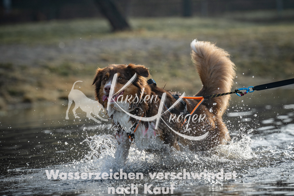 0857_ZZ99394 | kk-dogfotos