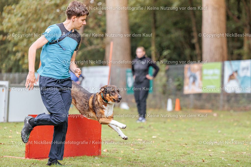 THS-HSV-Blumenthal-2026-Nickbest-Hundefotografie-4232 | Dein Hund! Dein Moment! Deine Erinnerungen! Hundefotografie in Bremen Blumenthal. Ich fange die besonderen Momente deines Vierbeiners ein – ob Indoor mit Blitzanlage oder in der freien Natur. Sicher dir dein Moment und dein Termin für eure Erinnerungen.