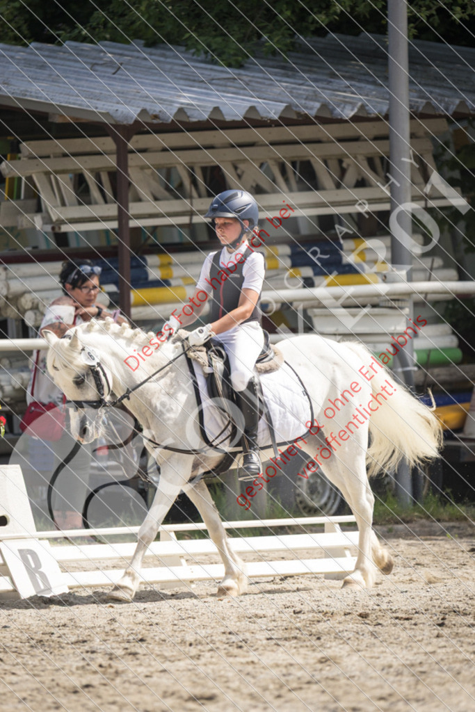 IMG_5138 | Sport-, Event- und Tierfotos in Profiqualität. Einfach auswählen, bestellen und herunterladen. Dein Moment – perfekt festgehalten.