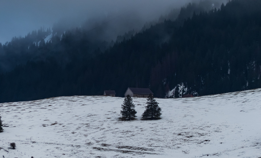 PSX_20230312_233856 | mtkfoto_ - Realisiert mit Pictrs.com